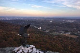 Billeder fra det nærliggende Lookout Mountain i Georgia, hvorfra man kan se syv stater Tennessee, Kentucky, Virginia, South Carolina, North Carolina, Georgia, og Alabama.